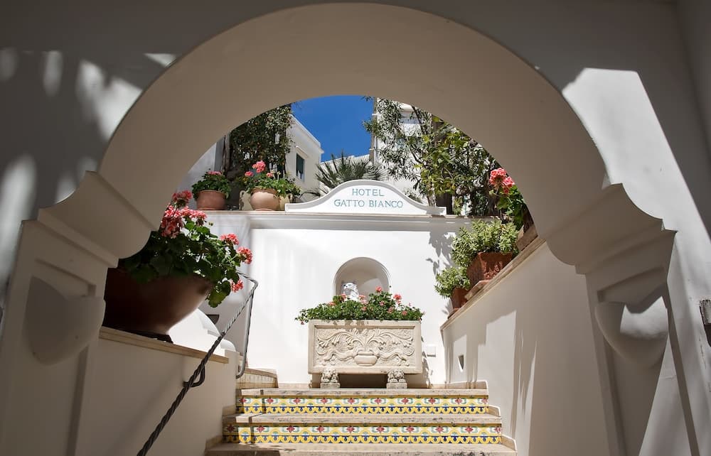 Gatto Bianco Hotel 